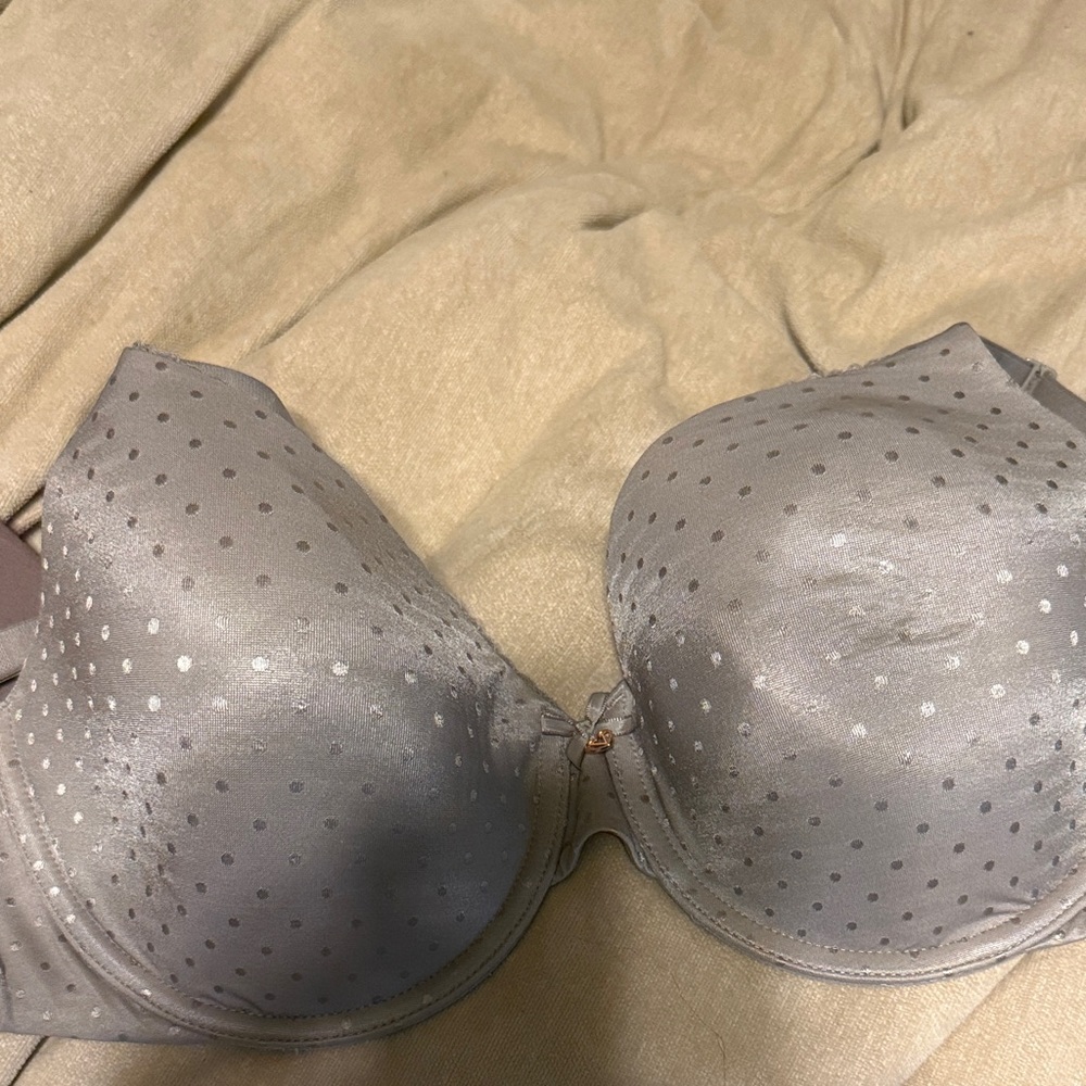 Gray Polka Dot Women's Bra34dd